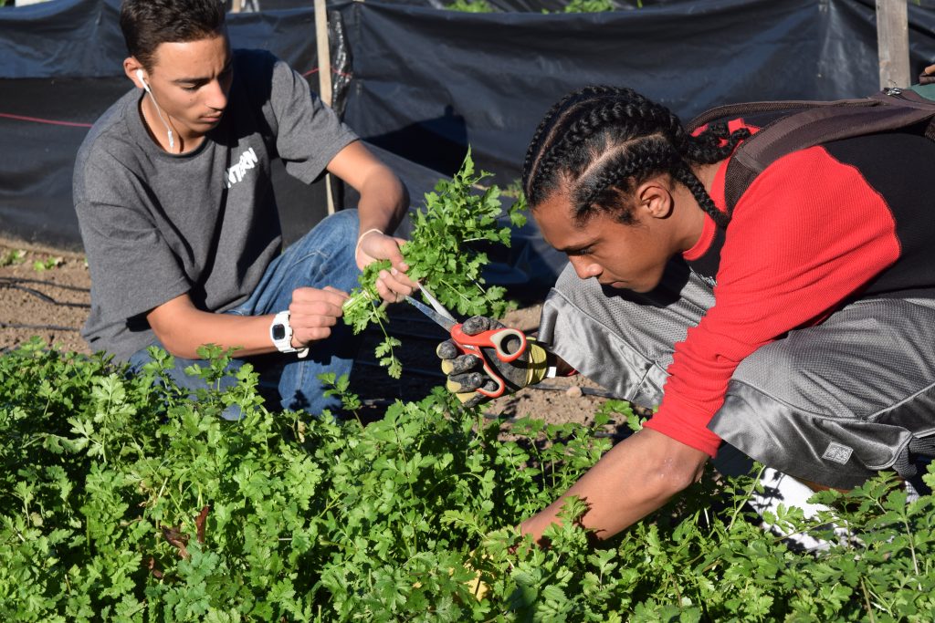 Participating Students at Second Chance Youth Garden, Encanto, San Diego 